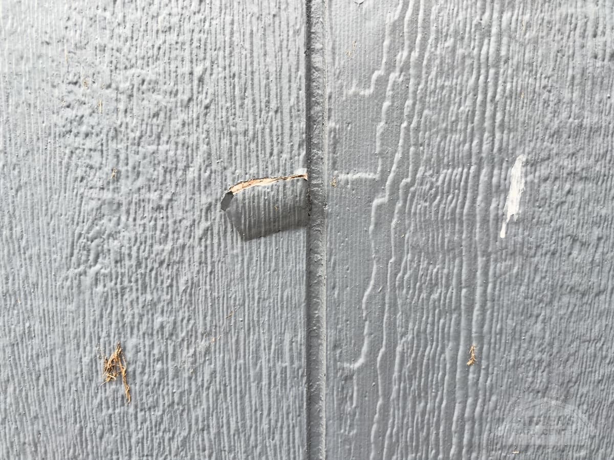 10x20 Painted Utility - 8' Walls — photo 4