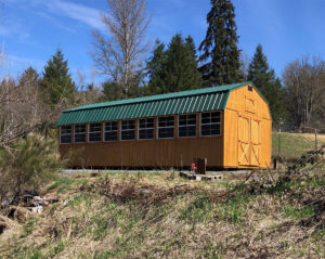 10x20 Painted Utility Dormer, Red with White Trim